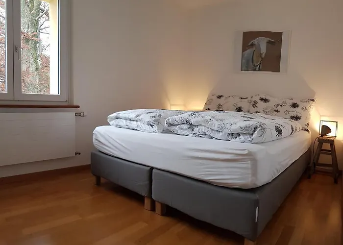 Interlaken City Apartments إنترلاكن