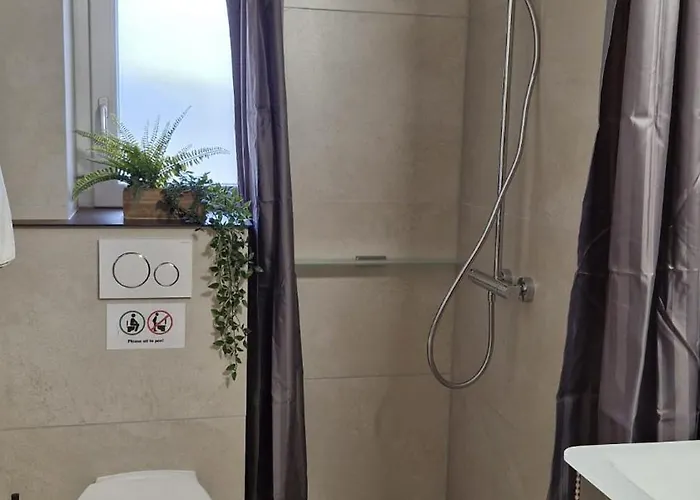 Interlaken City Apartments شقة إنترلاكن