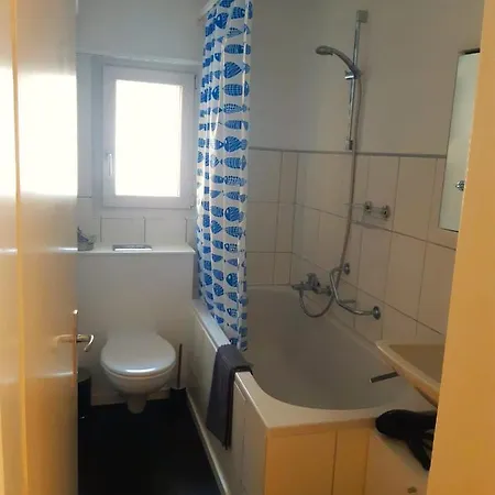 Interlaken City Apartments * إنترلاكن